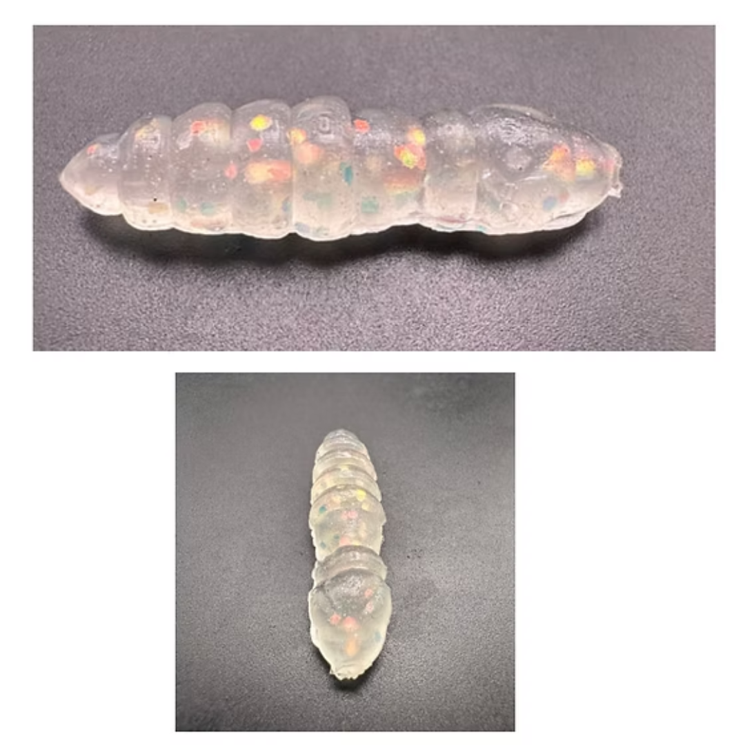 Mag (Trasparente/Gost) Glitter