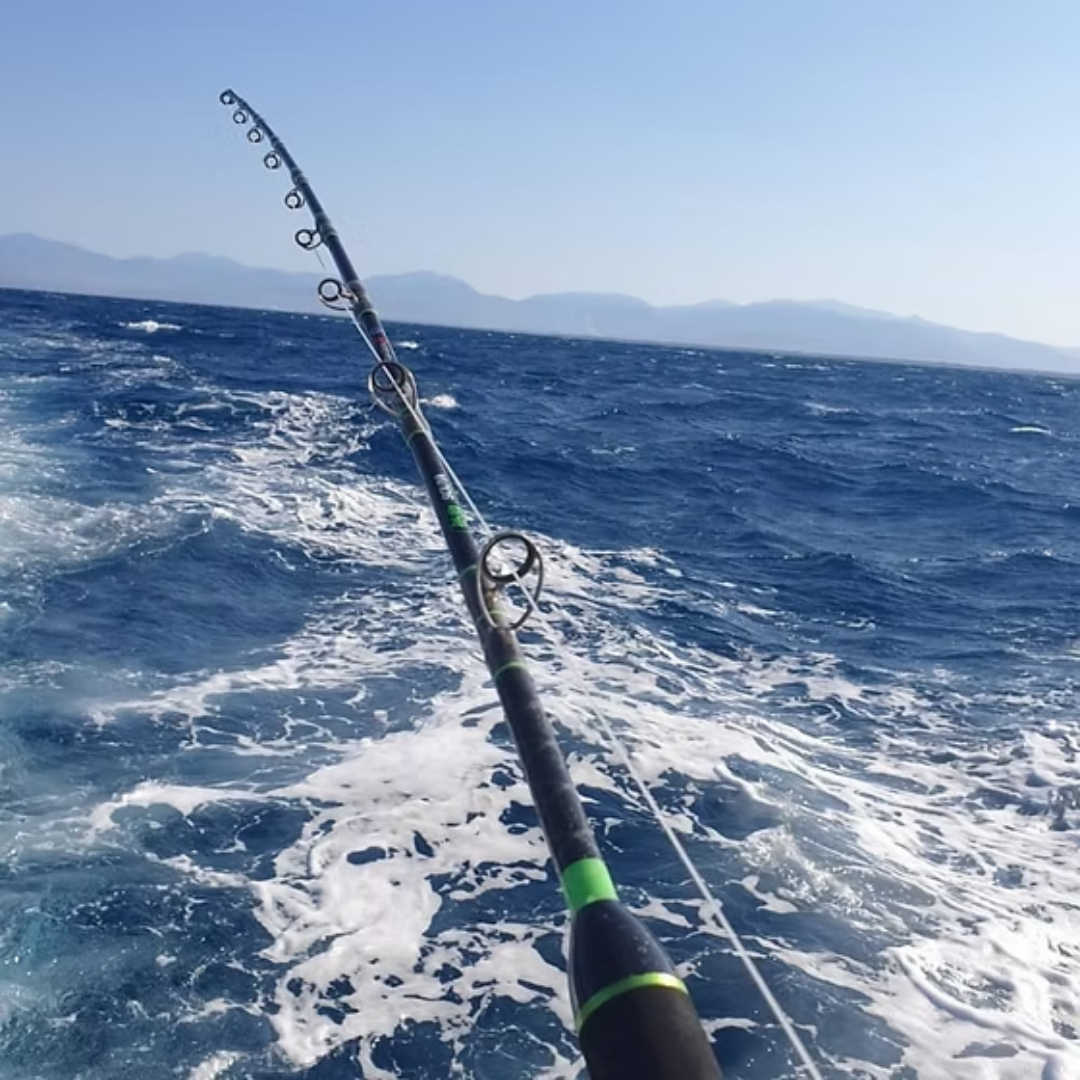 Akami souya acid rods canna da pesca traina